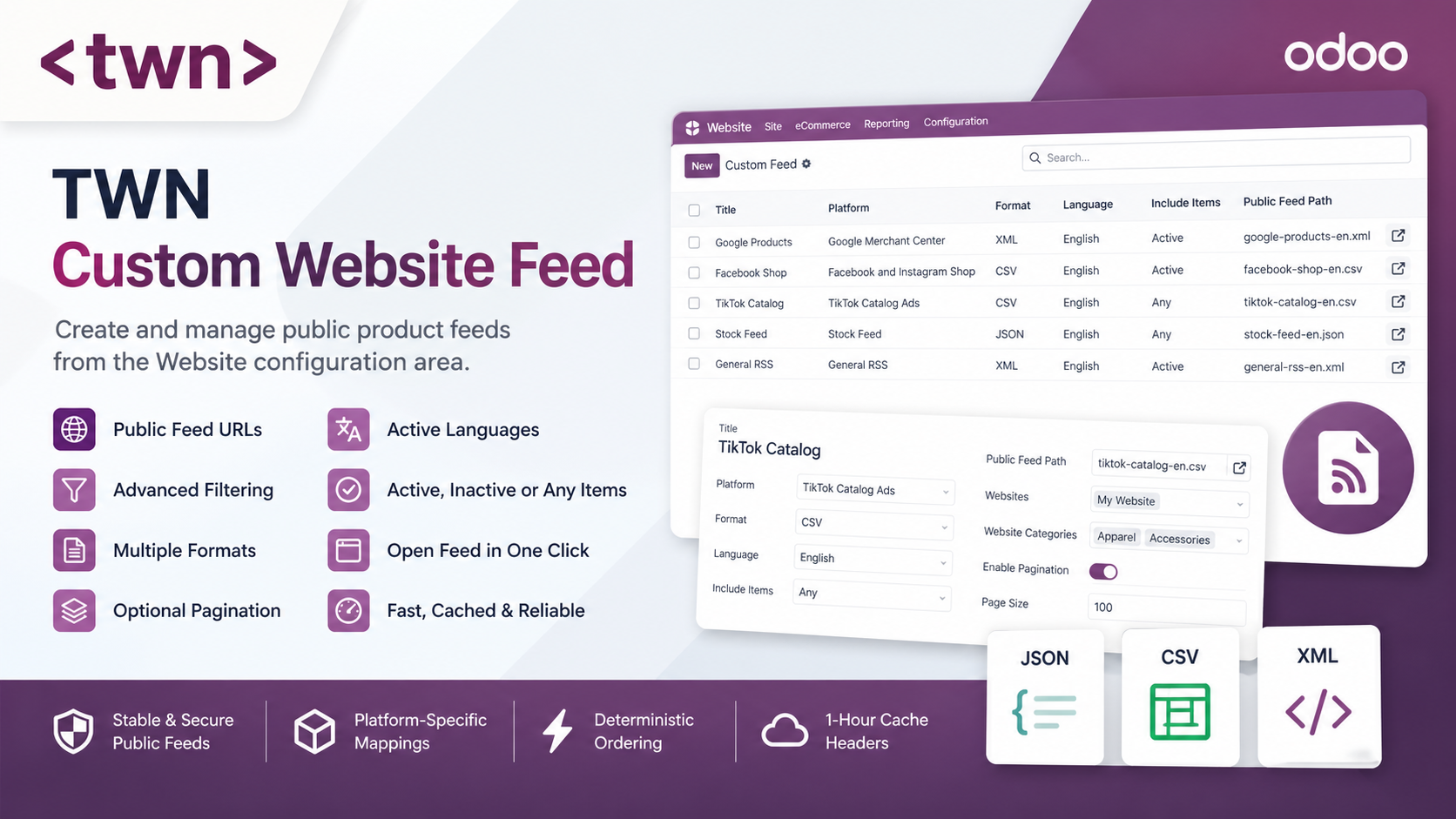 Custom Website Feed TWN Custom Website Feed plugin preview